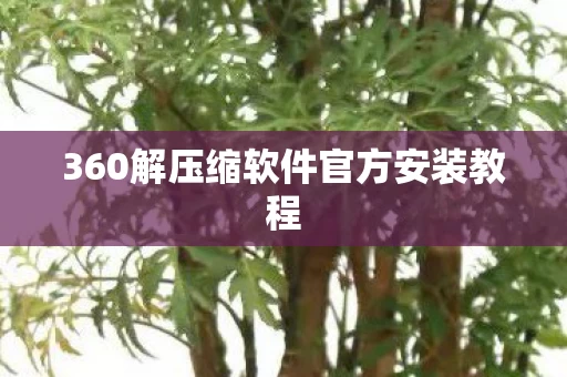 360解压缩软件官方安装教程图片