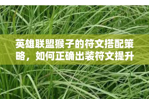 英雄联盟猴子的符文搭配策略图片