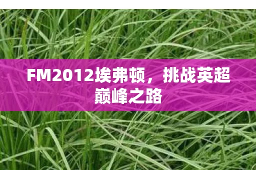 FM2012埃弗顿图片
