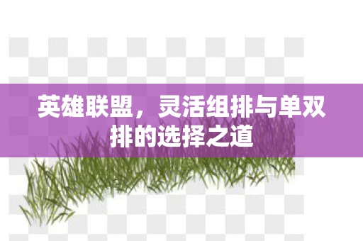 灵活组排与单双排的选择之道图片