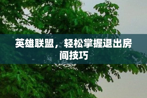 轻松掌握退出房间技巧图片