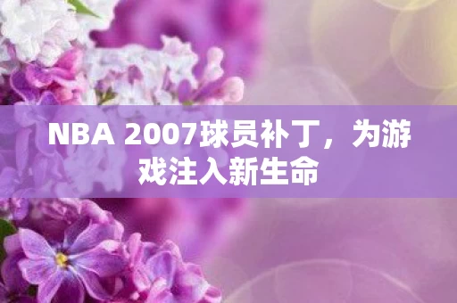 NBA 2007球员补丁图片