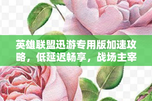 英雄联盟迅游专用版加速攻略图片