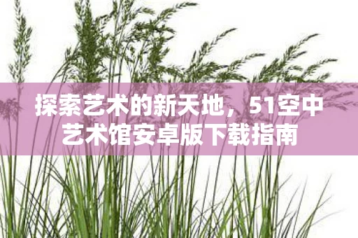 51空中艺术馆安卓版下载指南图片