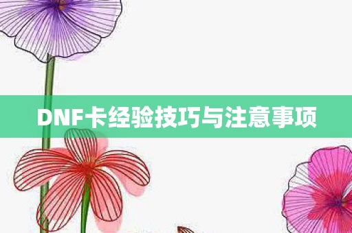 DNF卡经验技巧与注意事项图片
