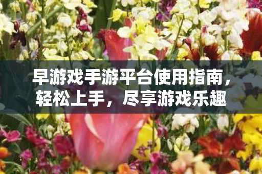 早游戏手游平台使用指南图片
