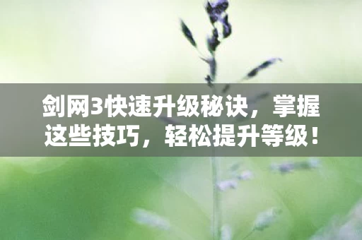剑网3快速升级秘诀图片