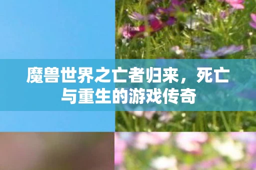 死亡与重生的游戏传奇图片