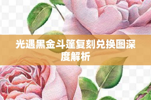 光遇黑金斗篷复刻兑换图深度解析图片