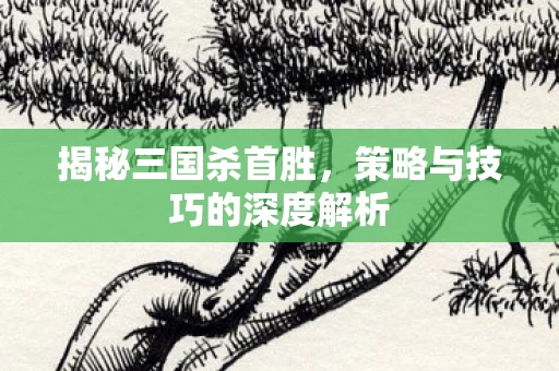 策略与技巧的深度解析图片