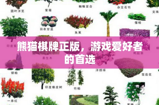 游戏爱好者的首选图片