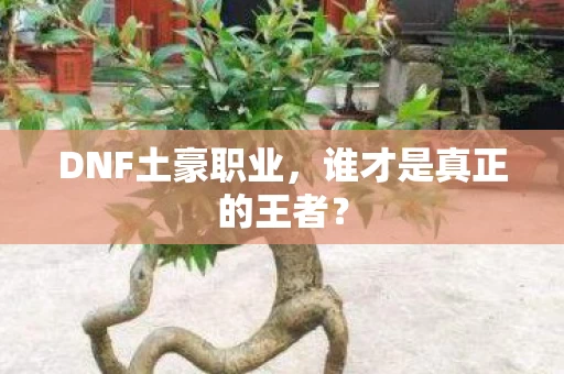 谁才是真正的王者图片