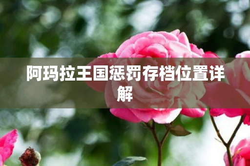 阿玛拉王国惩罚存档位置详解图片