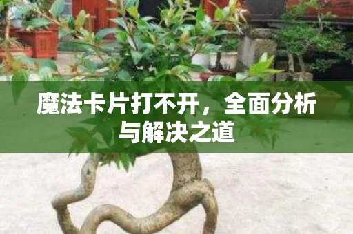 全面分析与解决之道图片