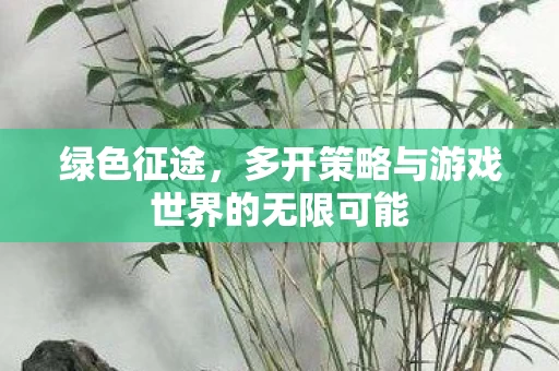 多开策略与游戏世界的无限可能图片