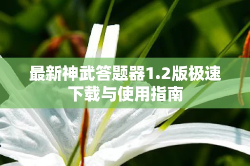 2版极速下载与使用指南图片