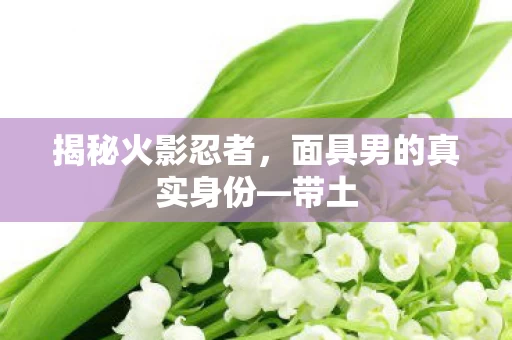 面具男的真实身份图片