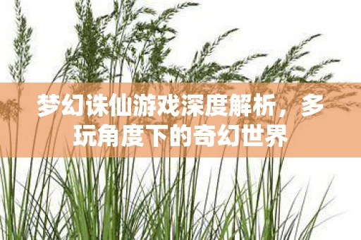 梦幻诛仙游戏深度解析图片