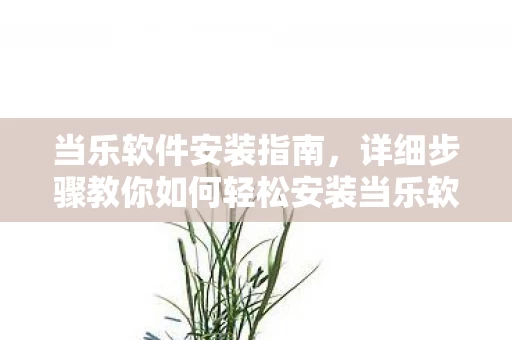 详细步骤教你如何轻松安装当乐软件图片