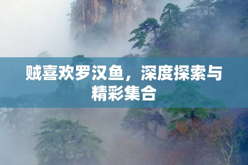 深度探索与精彩集合图片