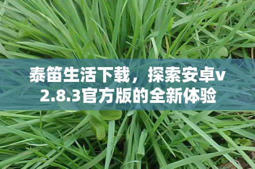 3官方版的全新体验图片