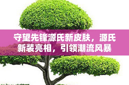 守望先锋源氏新皮肤图片