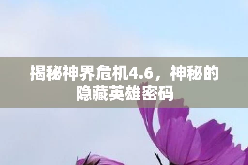 神秘的隐藏英雄密码图片