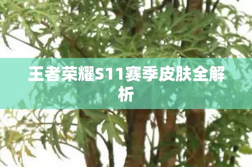 王者荣耀S11赛季皮肤全解析图片