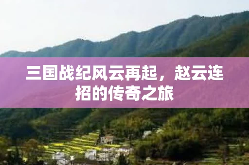 赵云连招的传奇之旅图片