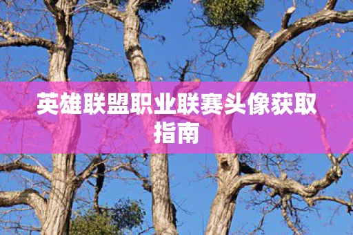 英雄联盟职业联赛头像获取指南图片