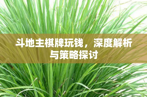 深度解析与策略探讨图片