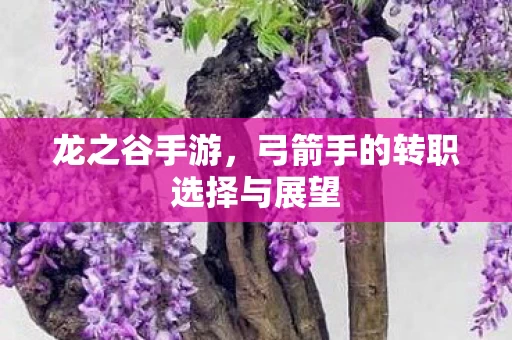 弓箭手的转职选择与展望图片
