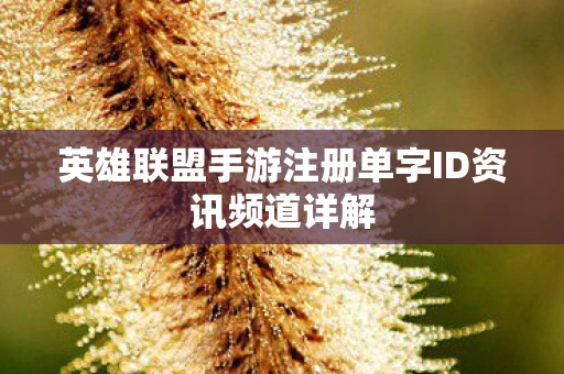 英雄联盟手游注册单字ID资讯频道详解图片