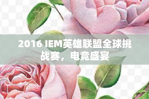 2016 IEM英雄联盟全球挑战赛图片