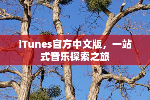 iTunes官方中文版图片