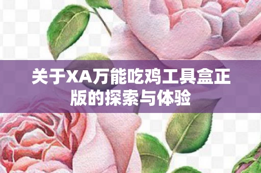 关于XA万能吃鸡工具盒正版的探索与体验图片