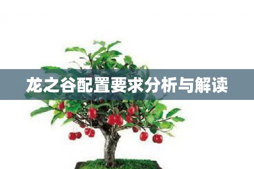 龙之谷配置要求分析与解读图片