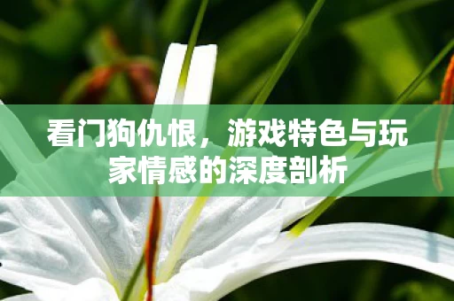 游戏特色与玩家情感的深度剖析图片