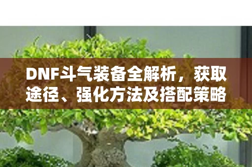 强化方法及搭配策略一网打尽图片