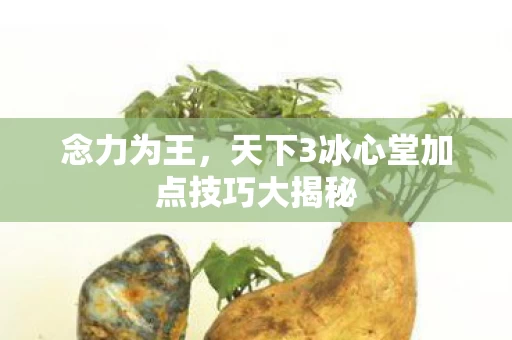 天下3冰心堂加点技巧大揭秘图片