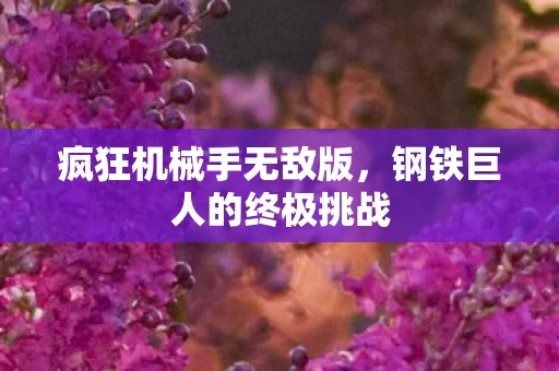 钢铁巨人的终极挑战图片