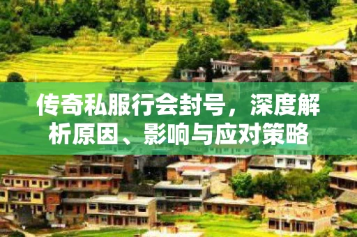 传奇私服行会封号图片