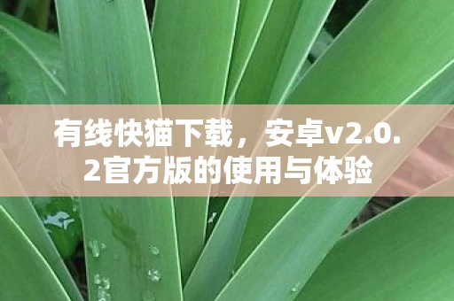 2官方版的使用与体验图片
