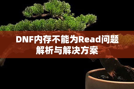 DNF内存不能为Read问题解析与解决方案图片