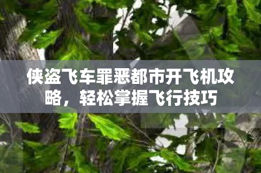 侠盗飞车罪恶都市开飞机攻略图片