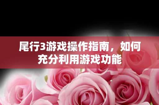 如何充分利用游戏功能图片