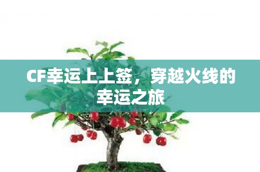 穿越火线的幸运之旅图片