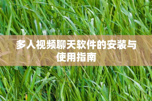 多人视频聊天软件的安装与使用指南图片