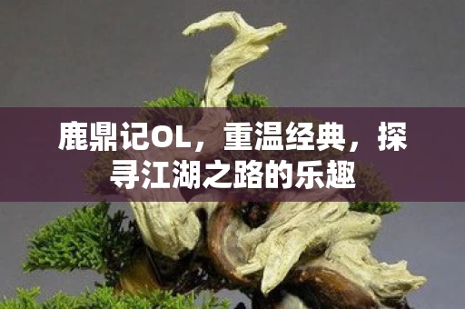 探寻江湖之路的乐趣图片