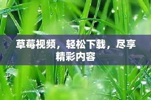 尽享精彩内容图片